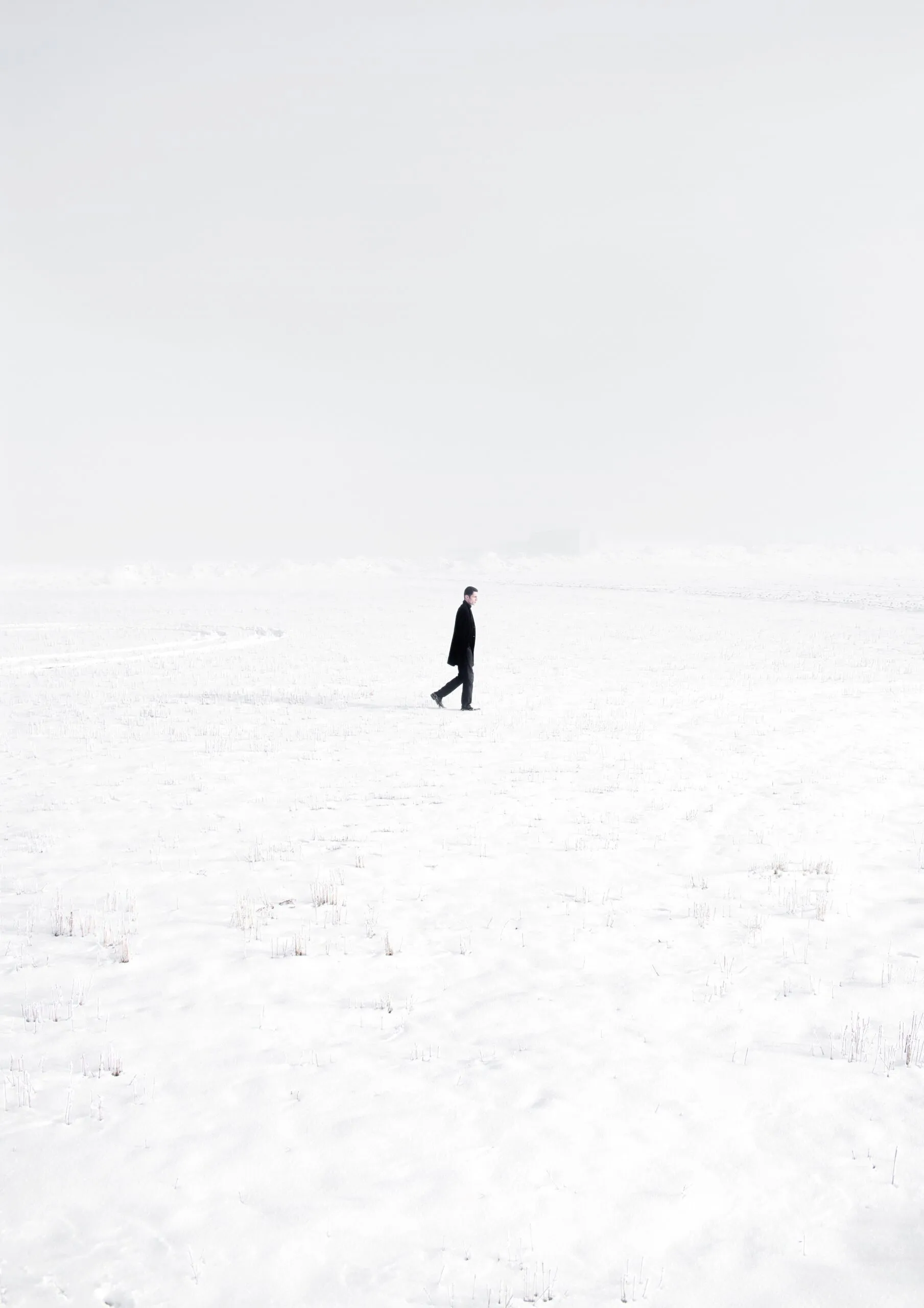 10 Desafíos para despertar tu cerebro emprendedor, Daniel Priestley