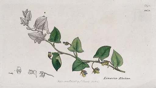 El Corazón de tu Investigación UX: Guía Práctica para Formular Preguntas Poderosas