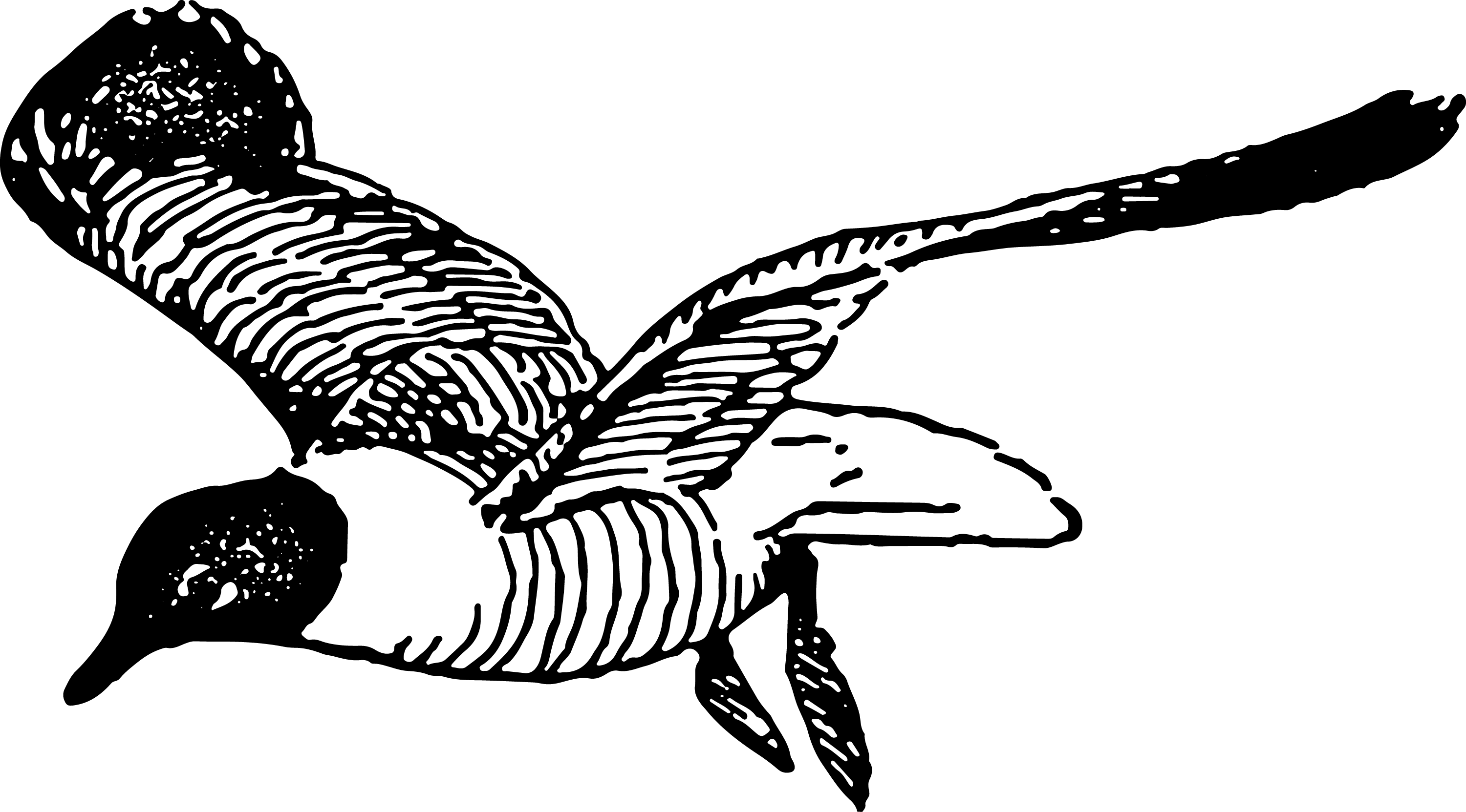 Dibujo lineal de un pájaro volando